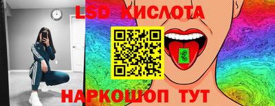 шишки Донской