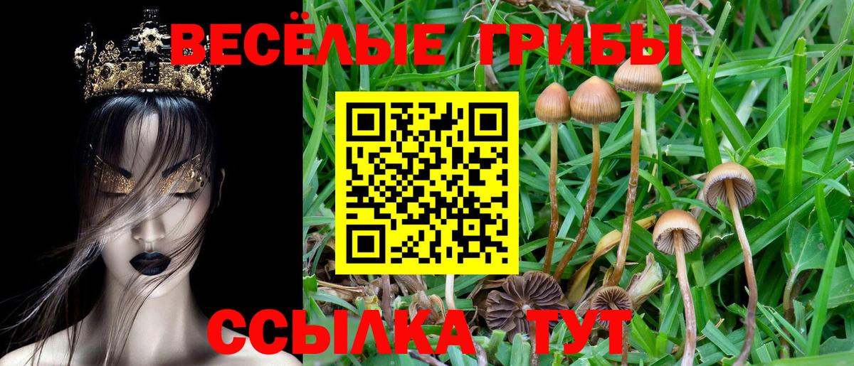 Псилоцибиновые грибы мухоморы Нижний Новгород