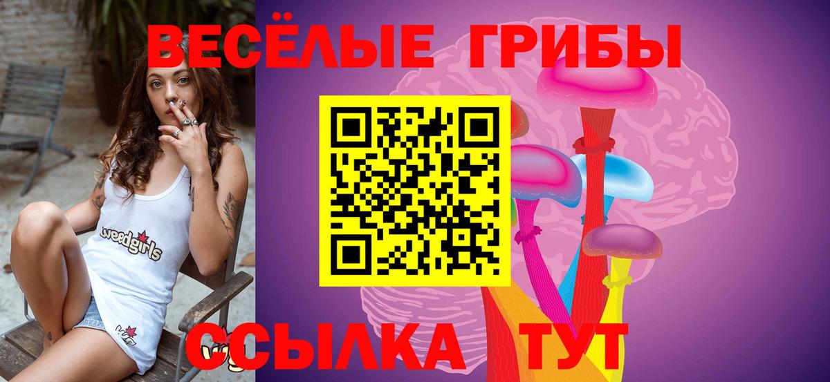 Псилоцибиновые грибы мухоморы  Вход с VPN  Нижний Новгород  Галлюциногенные грибы мухоморы 